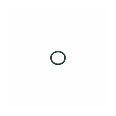 Solenoid Guide Viton O-Ring