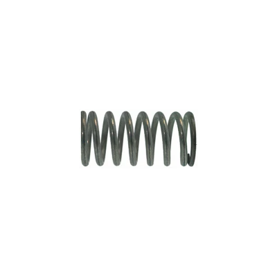 Steam Wand Spring